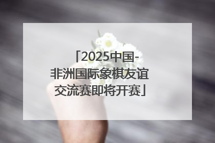 2025中国-非洲国际象棋友谊交流赛即将开赛
