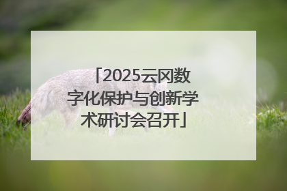 2025云冈数字化保护与创新学术研讨会召开