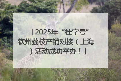 2025年“桂字号”钦州荔枝产销对接（上海）活动成功举办！