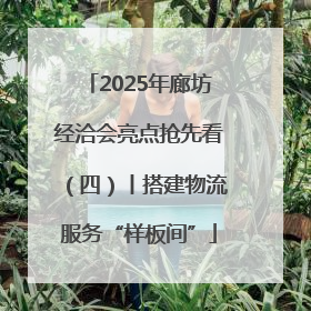 2025年廊坊经洽会亮点抢先看（四）丨搭建物流服务“样板间”