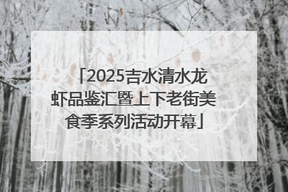 2025吉水清水龙虾品鉴汇暨上下老街美食季系列活动开幕