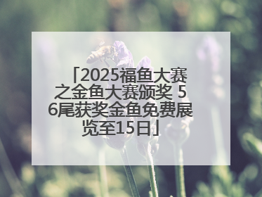 2025福鱼大赛之金鱼大赛颁奖 56尾获奖金鱼免费展览至15日