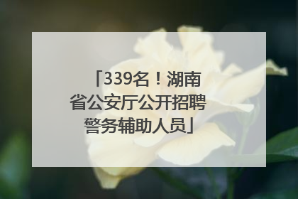 339名！湖南省公安厅公开招聘警务辅助人员