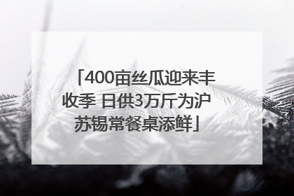 400亩丝瓜迎来丰收季 日供3万斤为沪苏锡常餐桌添鲜