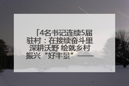 4名书记连续5届驻村：在接续奋斗里深耕沃野 绘就乡村振兴“好丰景”——浦发银行南京分行助力脱贫攻坚、帮促乡村振兴记事（二）