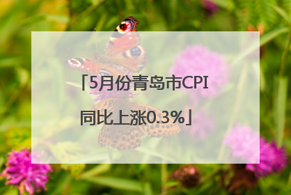 5月份青岛市CPI同比上涨0.3%