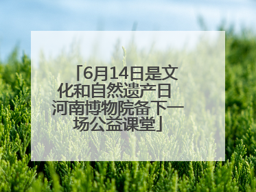 6月14日是文化和自然遗产日 河南博物院备下一场公益课堂
