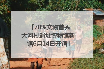 70%文物首秀 大河村遗址博物馆新馆6月14日开馆