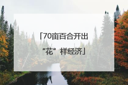 70亩百合开出“花”样经济