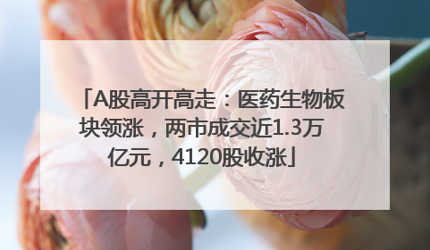 A股高开高走：医药生物板块领涨，两市成交近1.3万亿元，4120股收涨