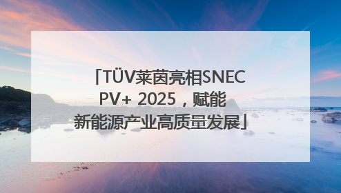 TÜV莱茵亮相SNEC PV+ 2025，赋能新能源产业高质量发展